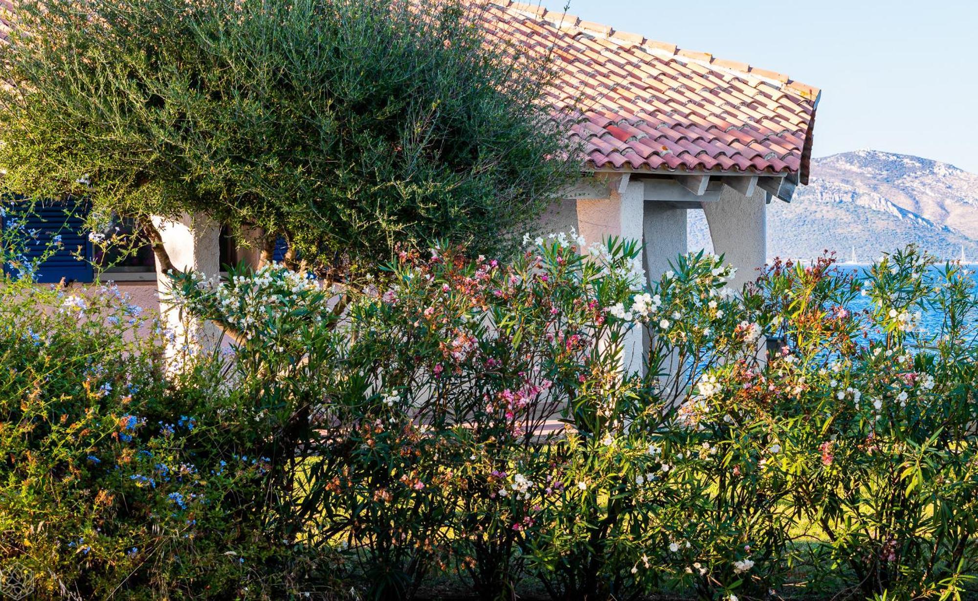 Villa Miriam - Klodge Olbia Exterior photo